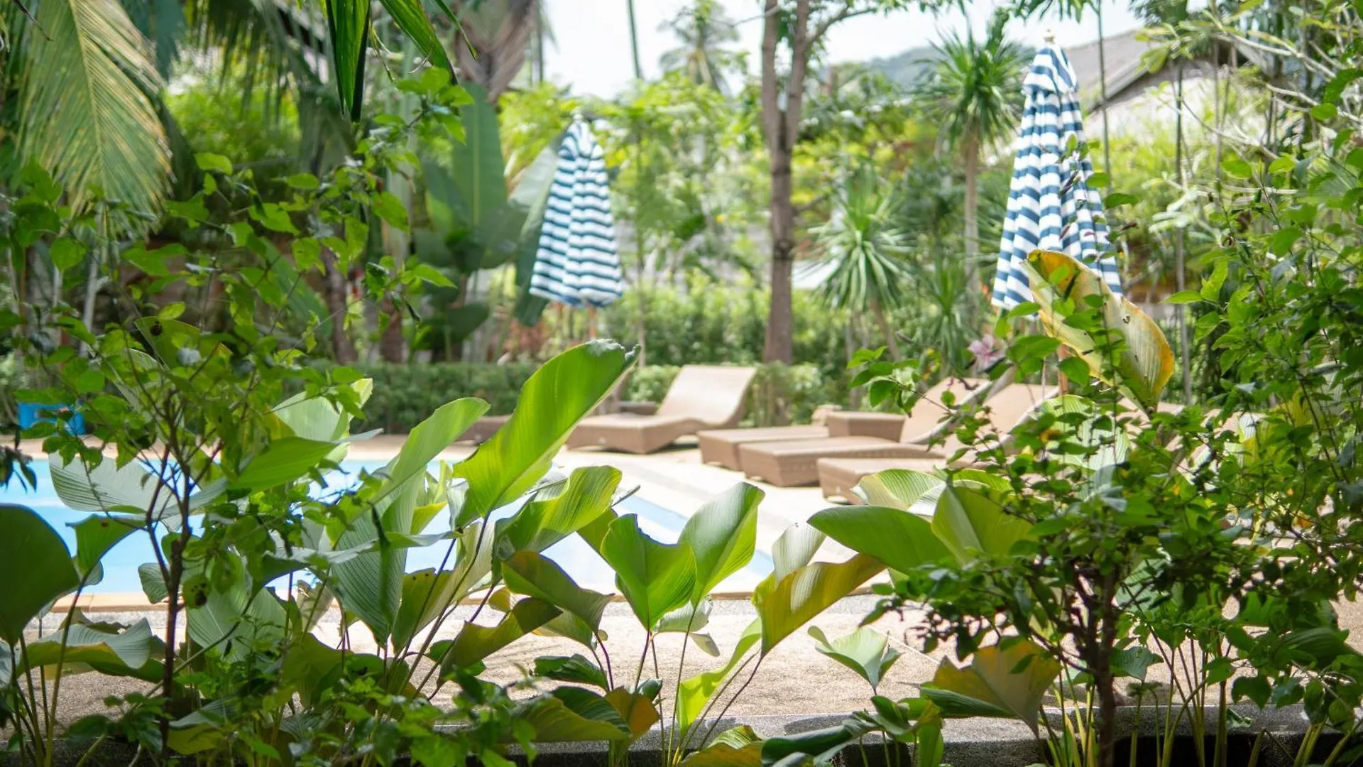 Long Beach Chalet - Sha Extra Plus Koh Lanta